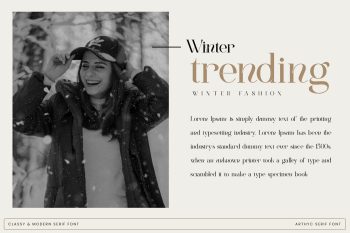 Stylish Serif Font