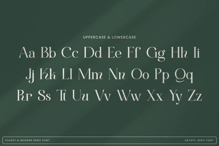 Stylish Serif Font
