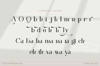 Stylish Serif Font