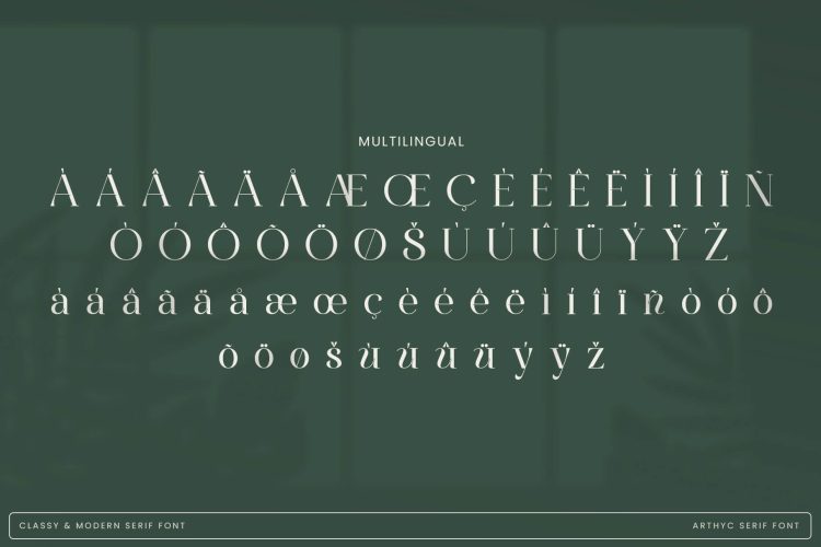 Stylish Serif Font