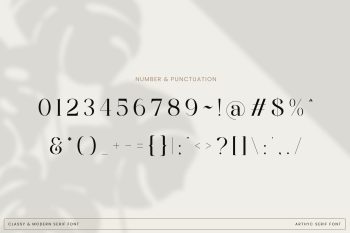Stylish Serif Font
