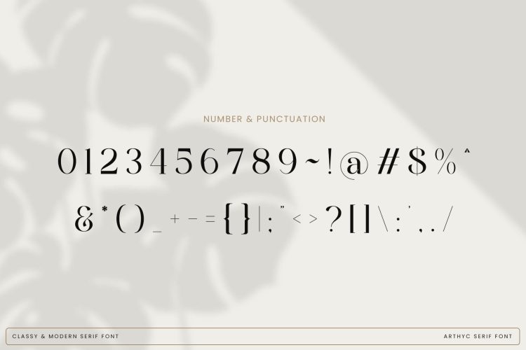 Stylish Serif Font