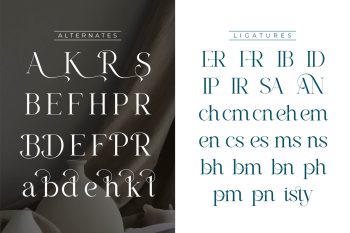 Serif Font