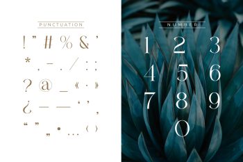 Serif Font