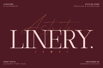 Font Duo Elegant Serif Script Font