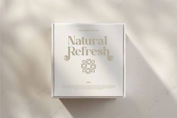 Modern Classic Serif Font