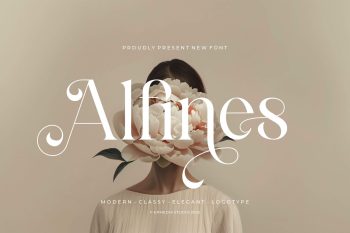 Modern Classy Serif Font
