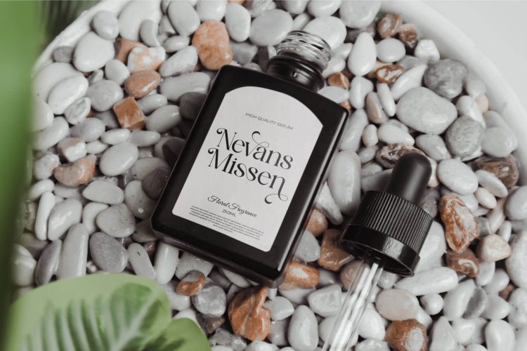 Modern Classy Serif Font