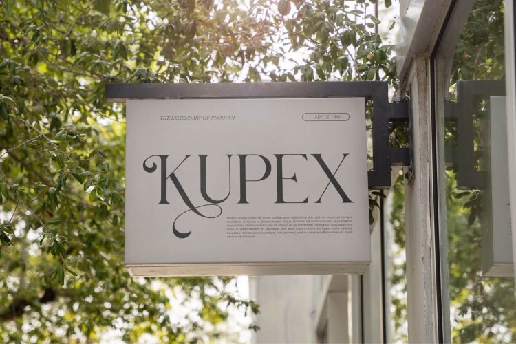 Modern Classy Serif Font