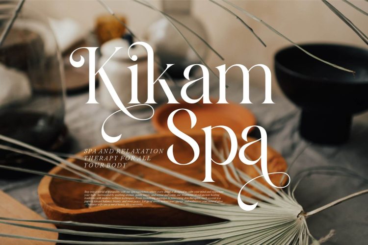 Modern Classy Serif Font