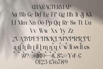 Modern Classy Serif Font