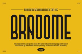 Modern Sans Serif Font