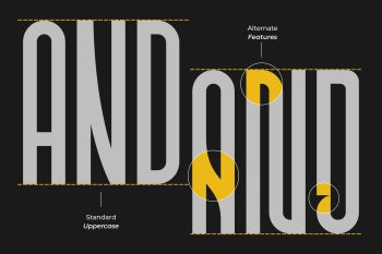 Modern Sans Serif Font