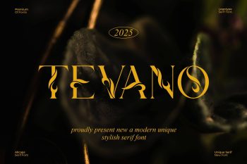 Modern Serif Font