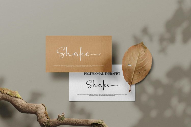 Gaston Honey - Duo Font