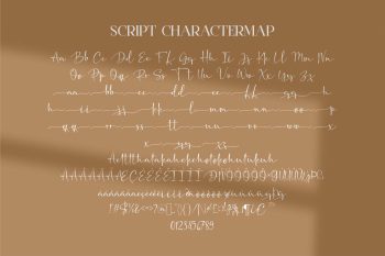 Gaston Honey - Duo Font