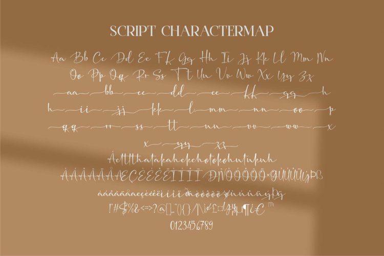 Gaston Honey - Duo Font