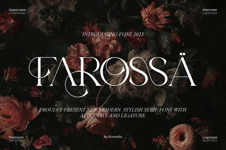 Stylish Serif Font