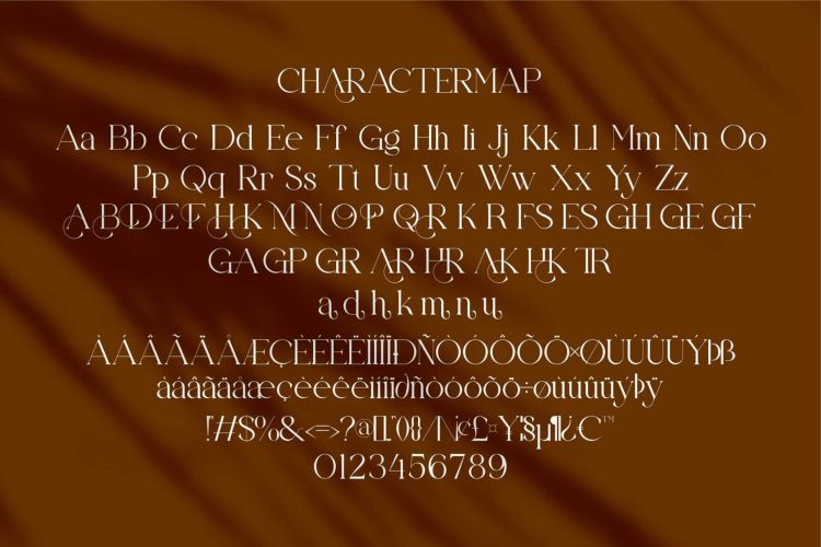 Stylish Serif Font