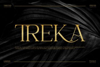 Treka || Modern Serif Font