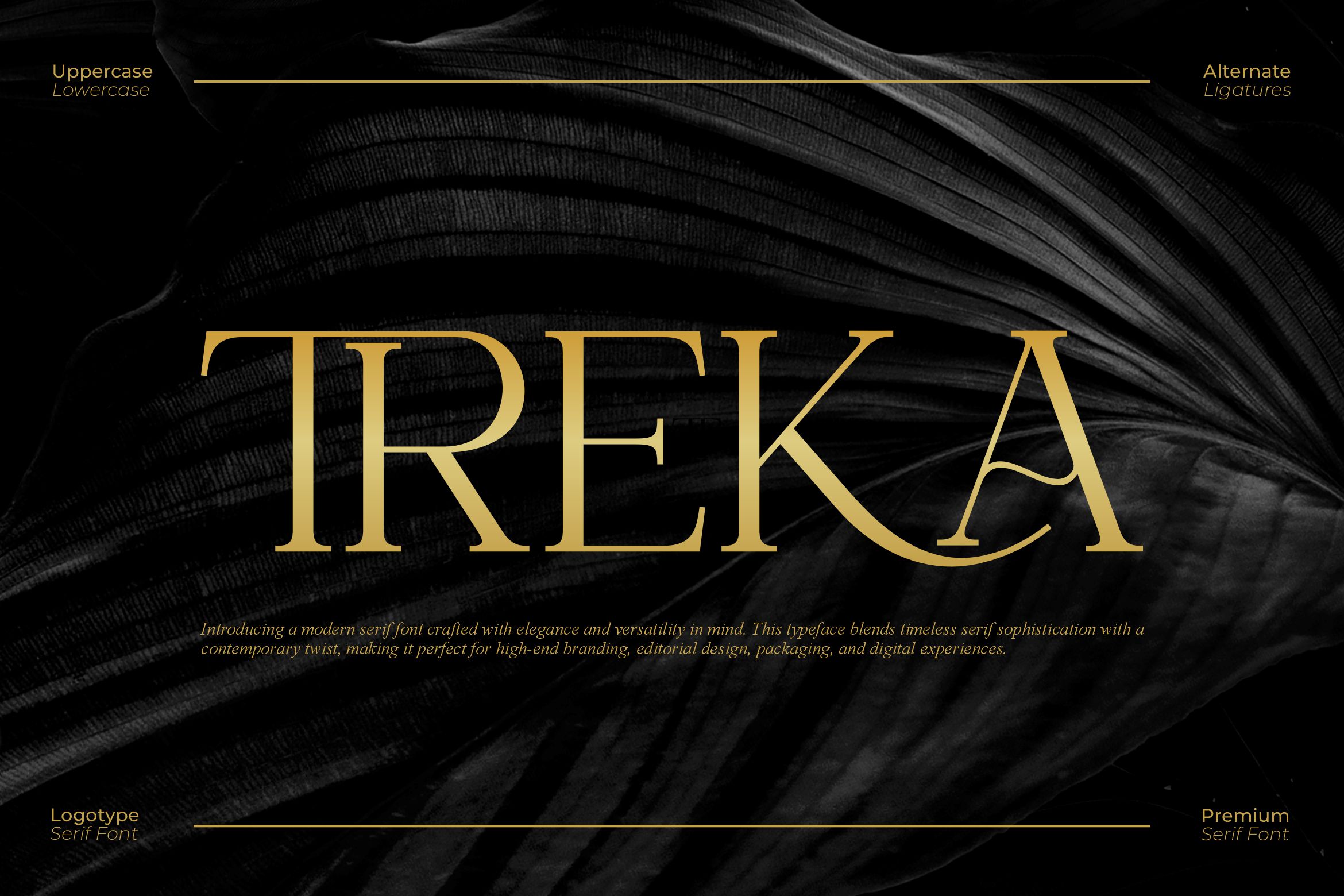 Treka || Modern Serif Font