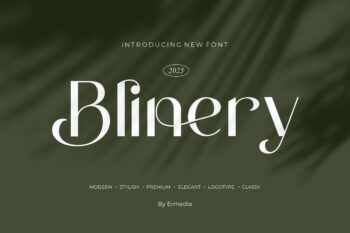 Blinery || Modern Sans Serif Font