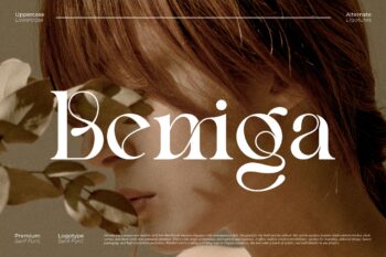 Beniga || Modern Elegant Serif Font