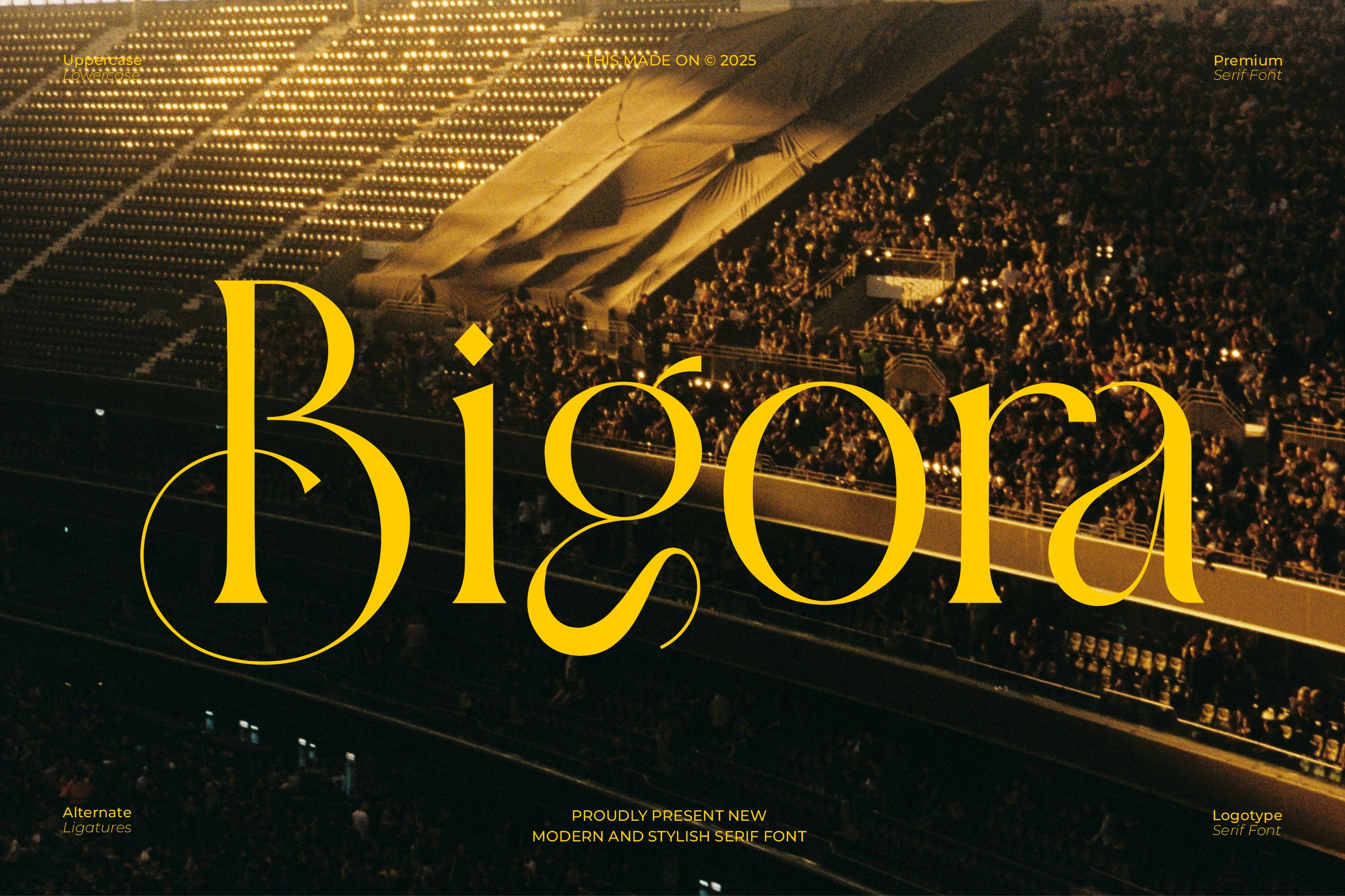 Bigora || Modern Classy Serif Font