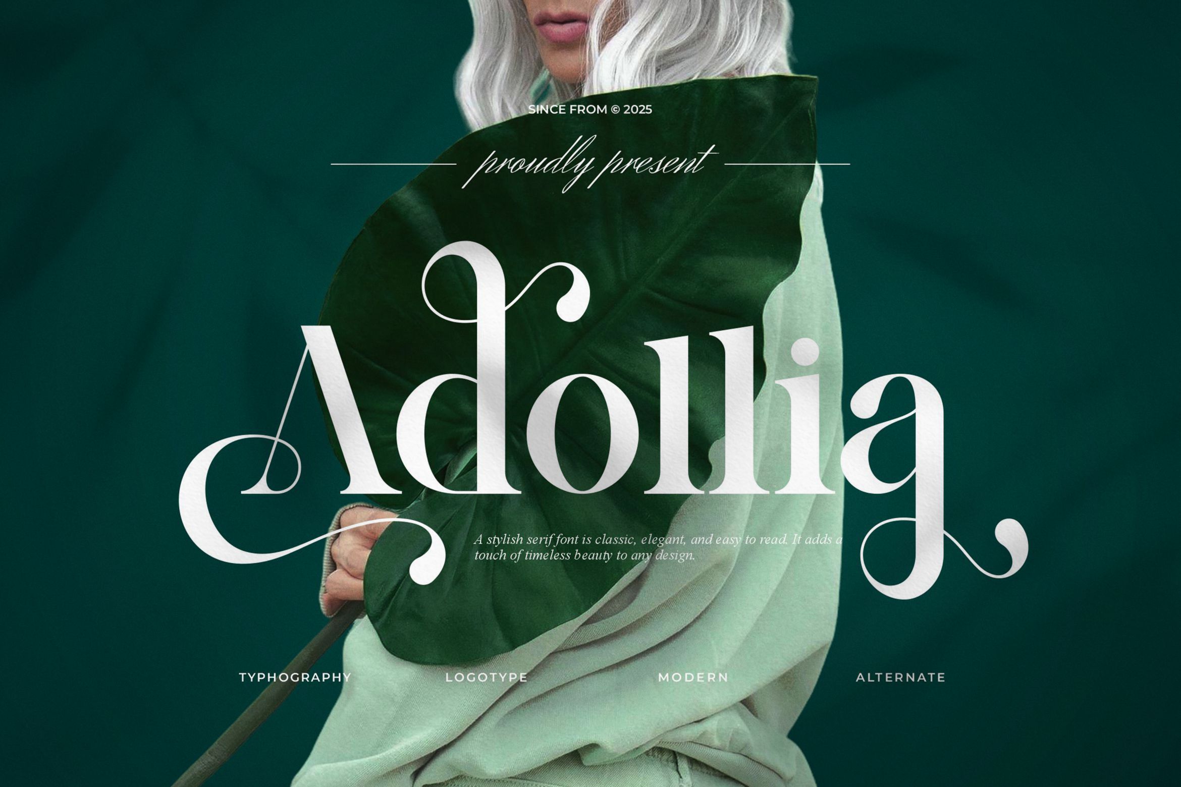 Adollia || Modern Elegant Serif Font