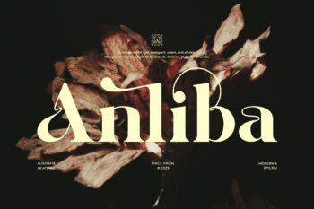 Anliba || Modern Classy Serif Font