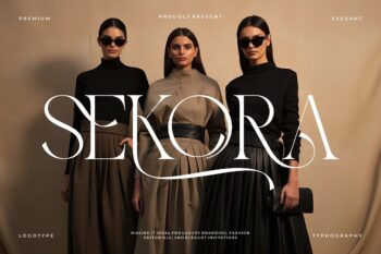 Sakero || Modern Classy Serif Font