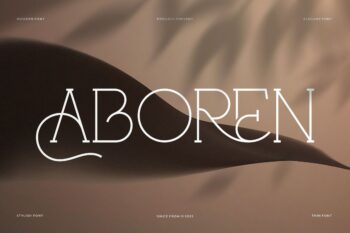 Aboren || Elegant Vintage Serif Monoline