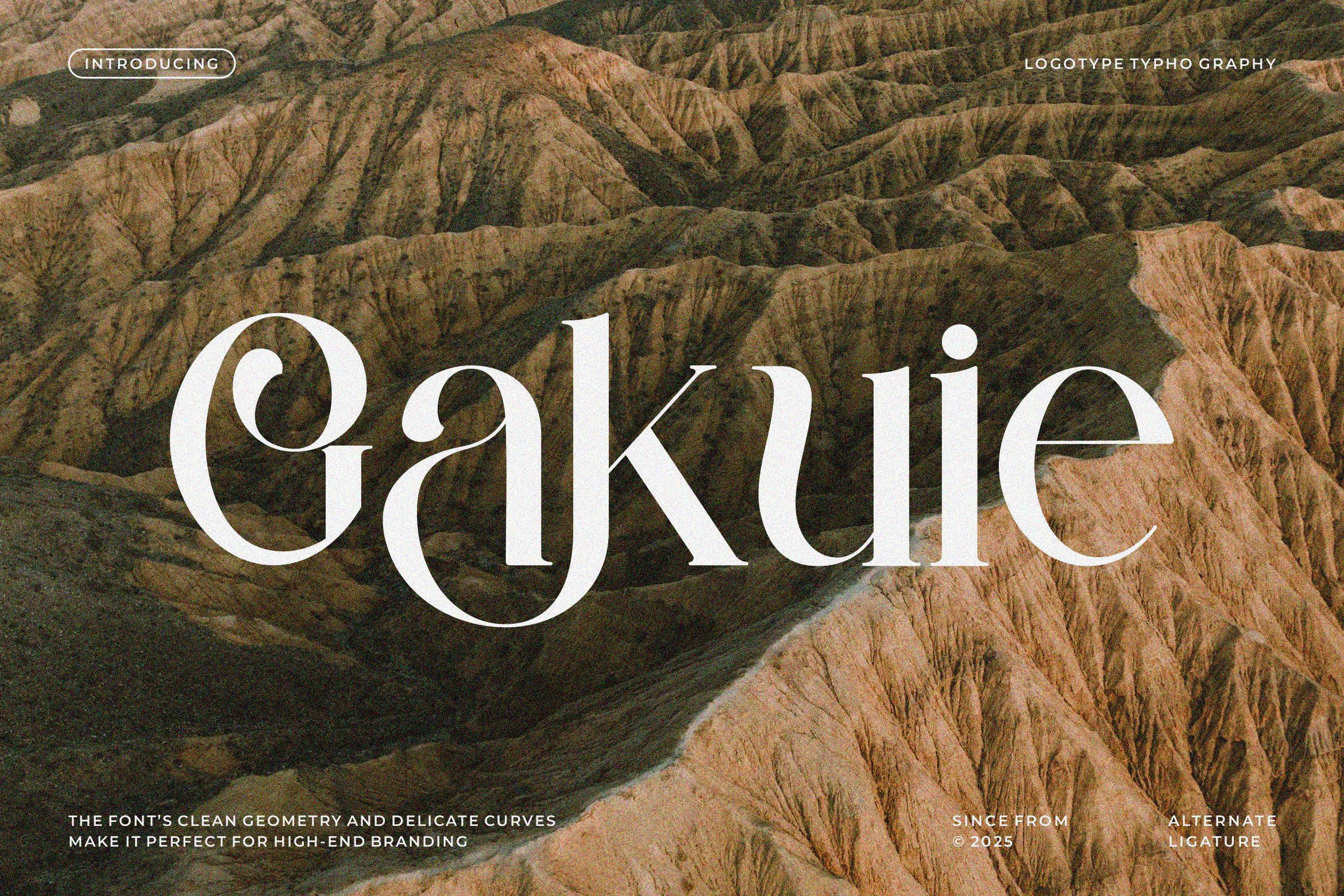 Gakuie || Modern classy Serif Font