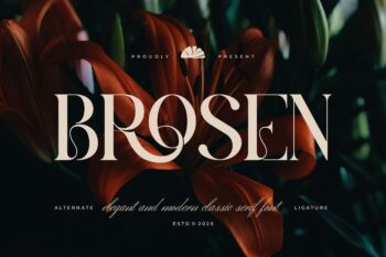 Brosen || Modern Classy Serif Font