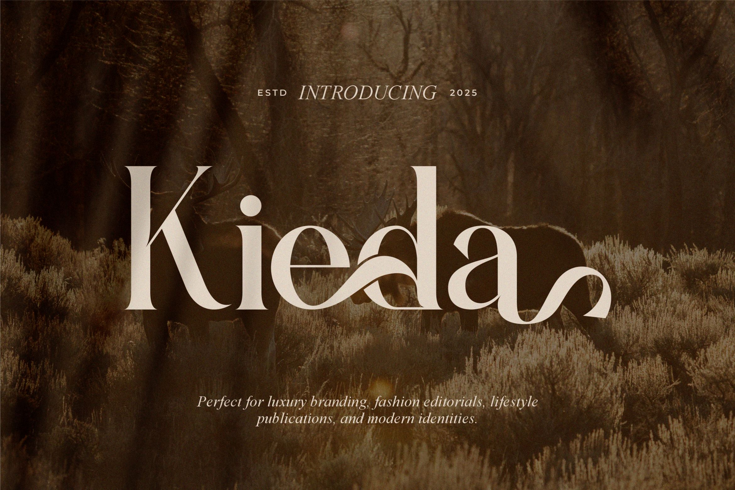 Kieda || Modern Classy Serif Font