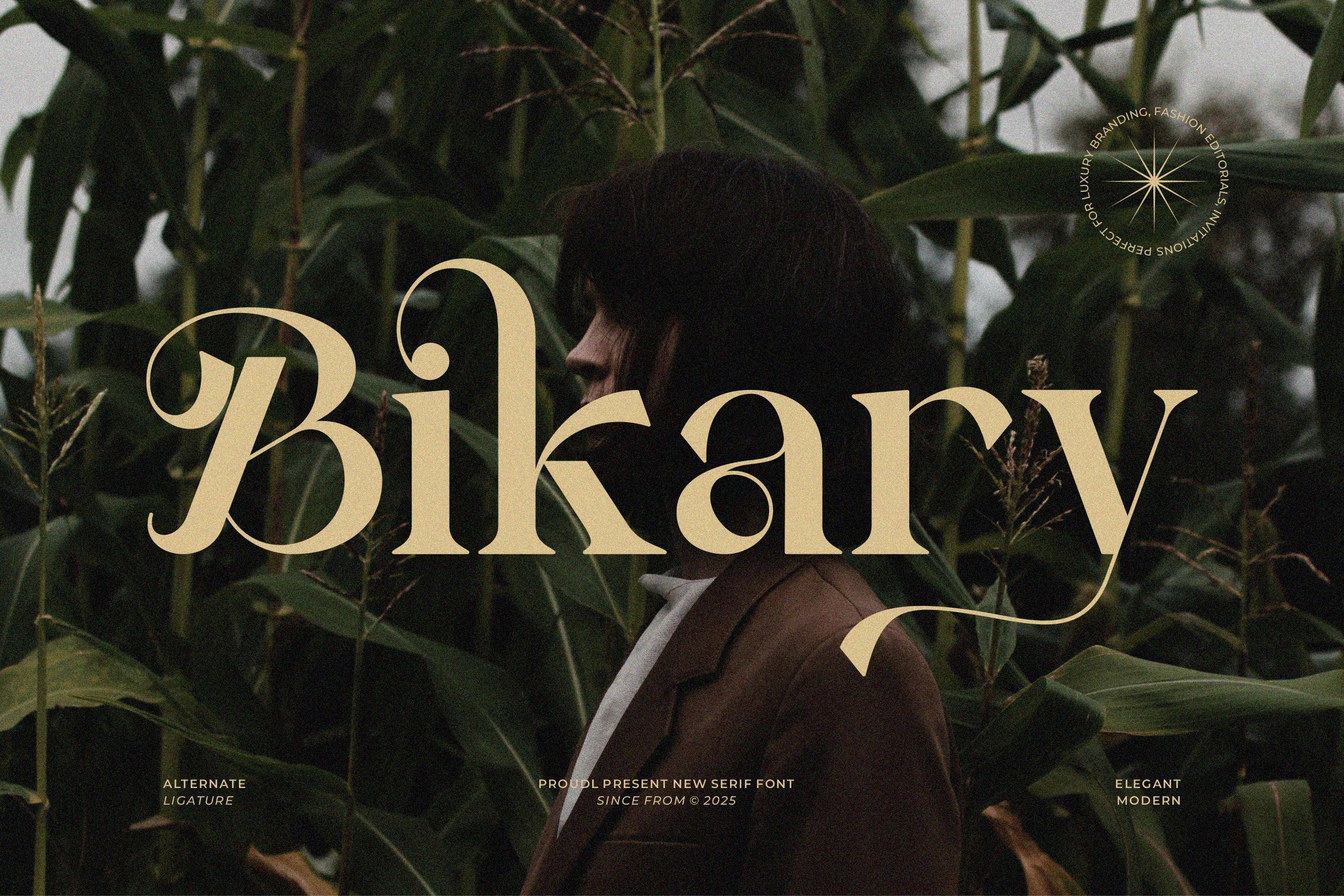 Bikary || Modern Classy Serif Font