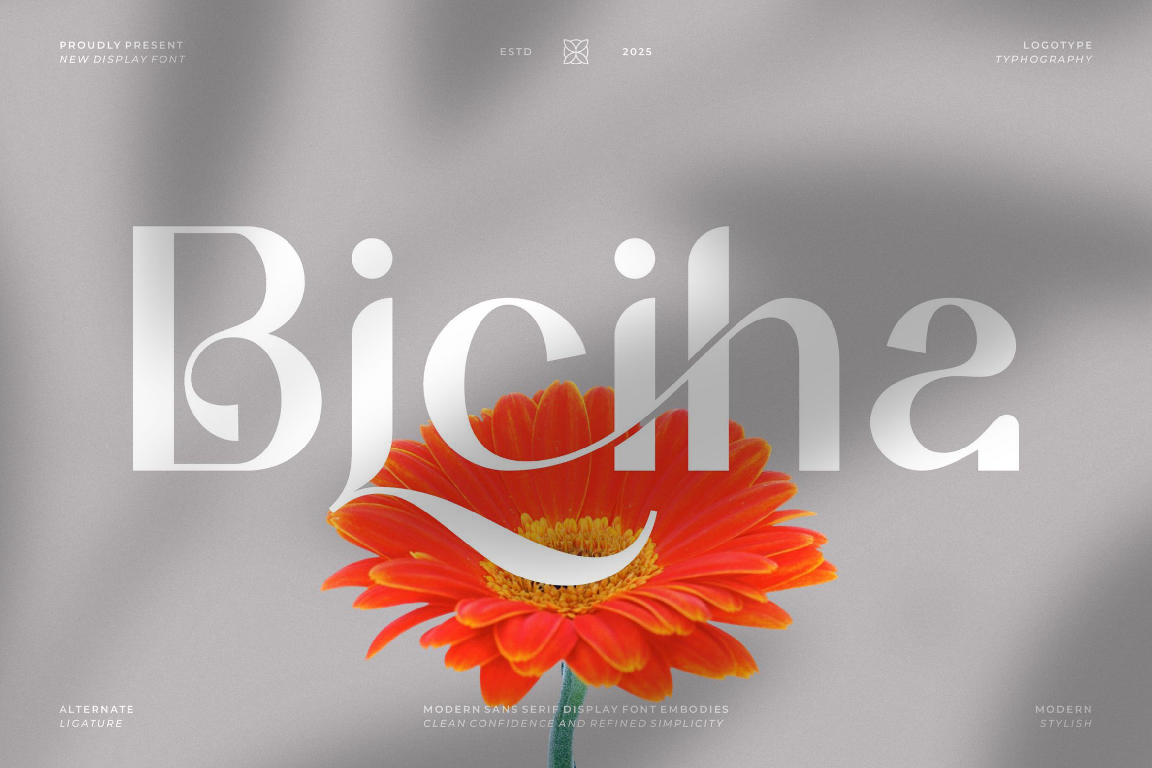 Biciha || Modern Minimalist Sans Serif Font
