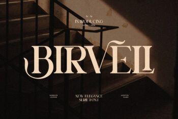 Birveli || Modern Classy Serif Font