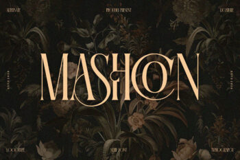 Mashcon || Stylish Serif Font